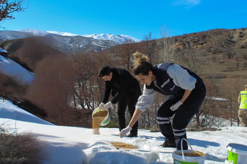 Hayvanlar İçin Dağlara Yem 