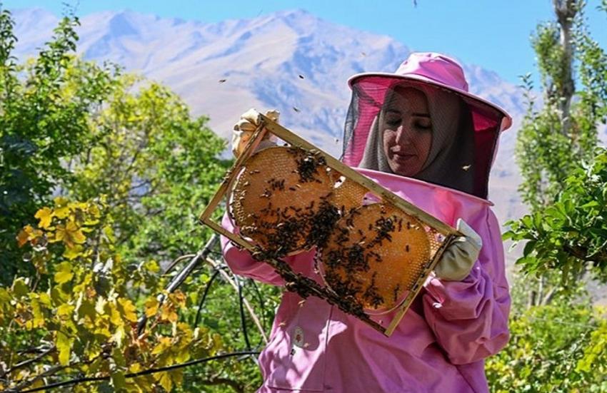 9 Kadın Girişimciye 5 Milyon Hibe