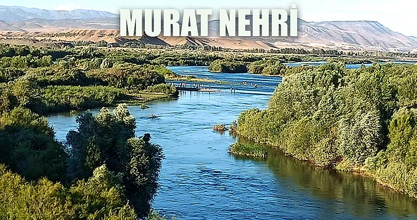 ÇUKUR TARLASINA DÖNDÜ