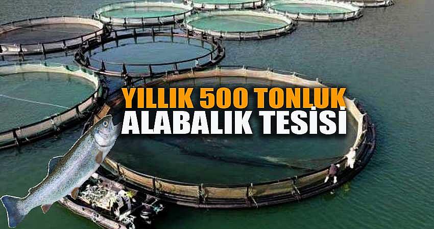 YILLIK 500 TON ÜRETİM KAPASİTELİ TESİS KURULACAK