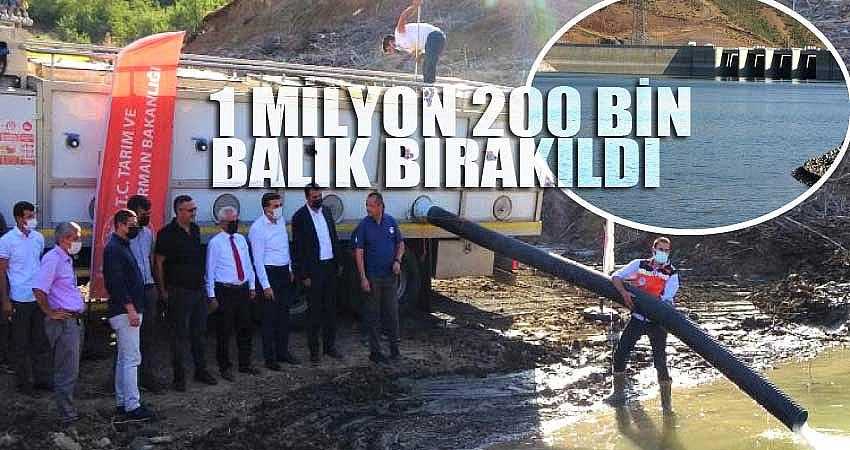 BARAJ VE GÖLETLERE 1 MİLYON 200 BİN BALIK BIRAKILDI