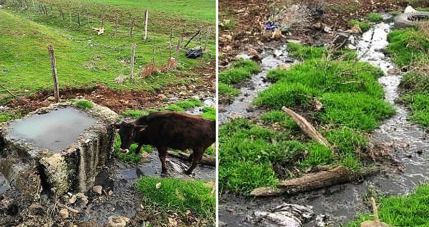 ÇAYTEPE’DE KANALİZASYON SORUNU