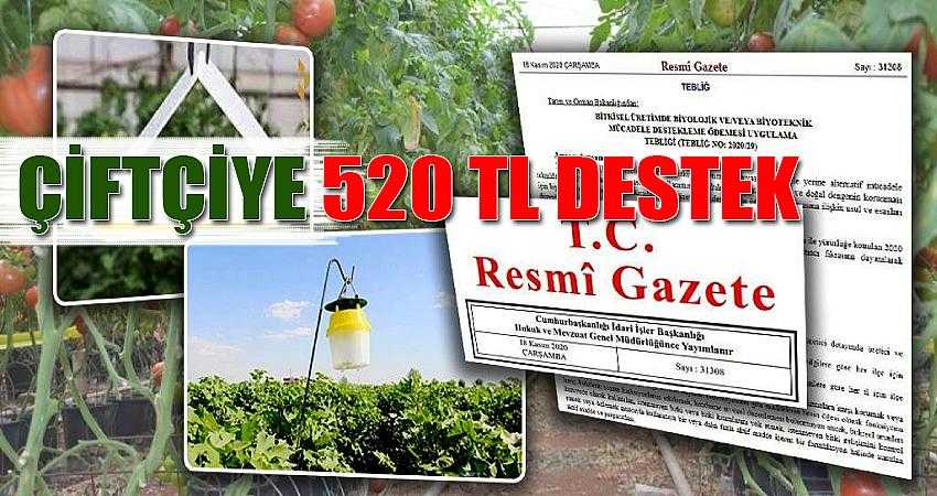 Çiftçiye 520 TL destek ödemesi