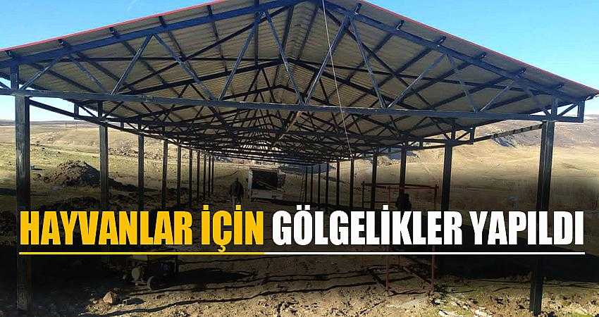 Hayvanlar için gölgelikler yapıldı