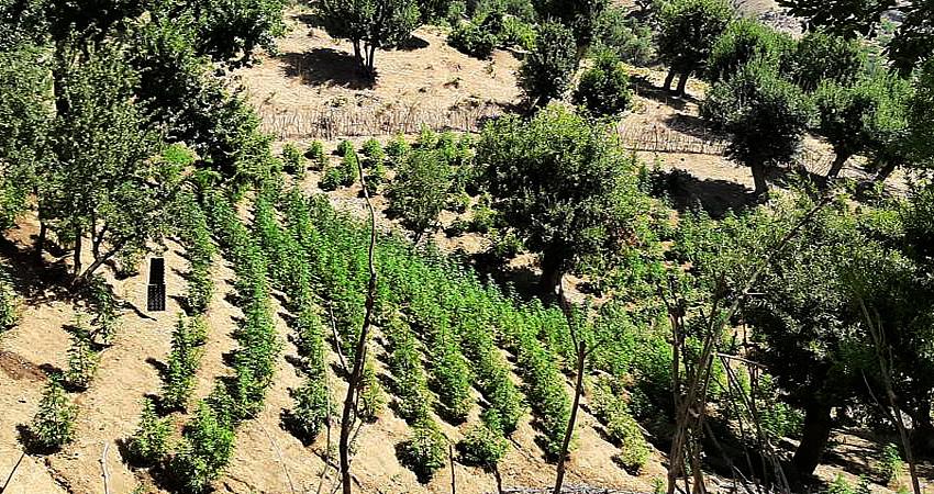 UYUŞTURUCU ELE GEÇİRİLDİ