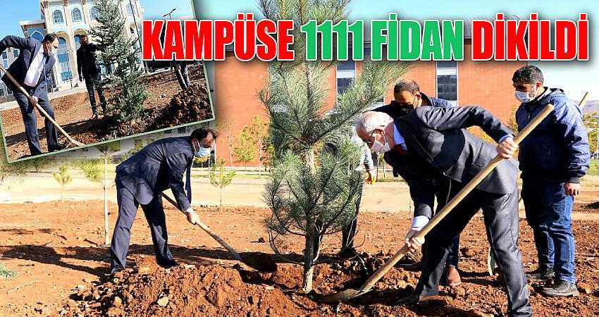 Üniversite kampüsüne 1111 fidan dikildi