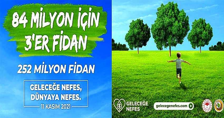 BİNGÖL’DE 5 BİN FİDAN DİKİLECEK