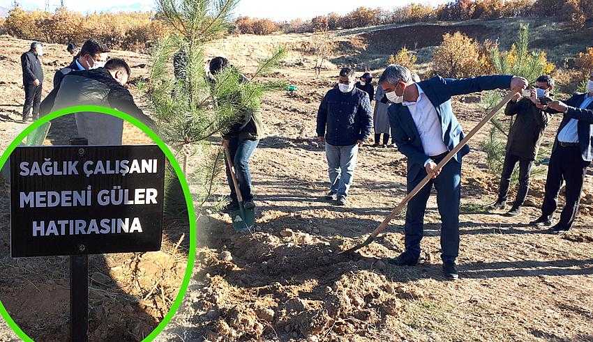 Covid-19’dan ölen sağlık çalışanı adına fidan dikildi