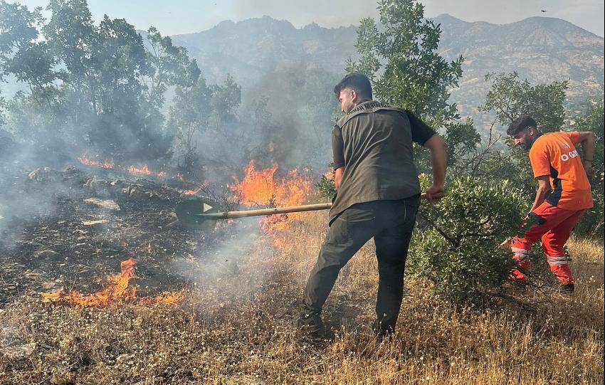 3 Bölgede Orman Yangını