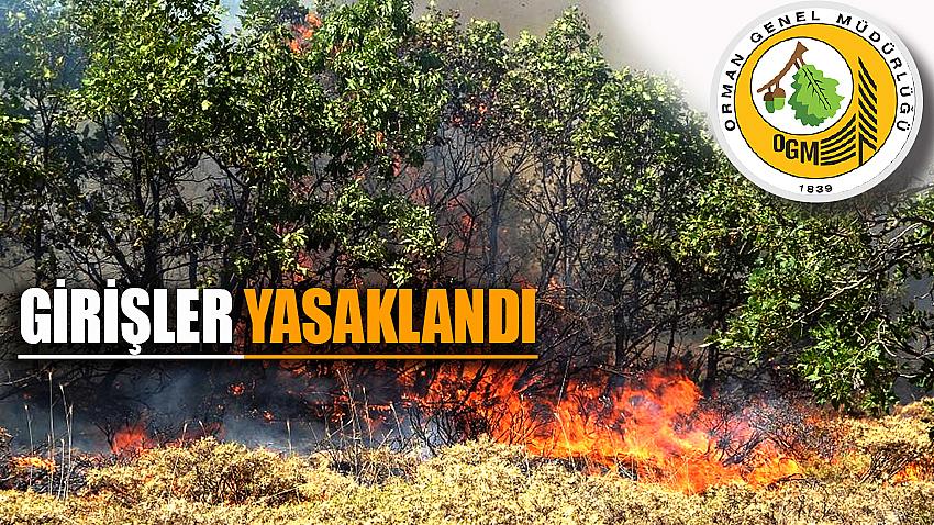 ORMANLIK ALANLARA GİRİŞLER YASAKLANDI