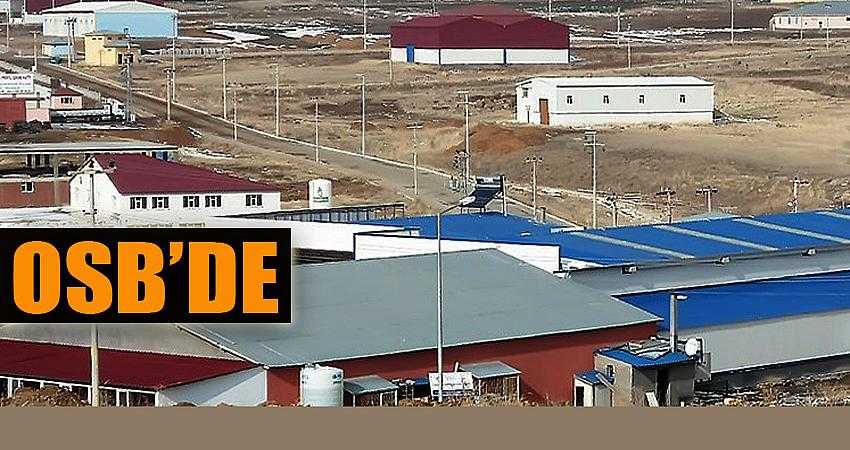 Eldiven fabrikası kurulacak