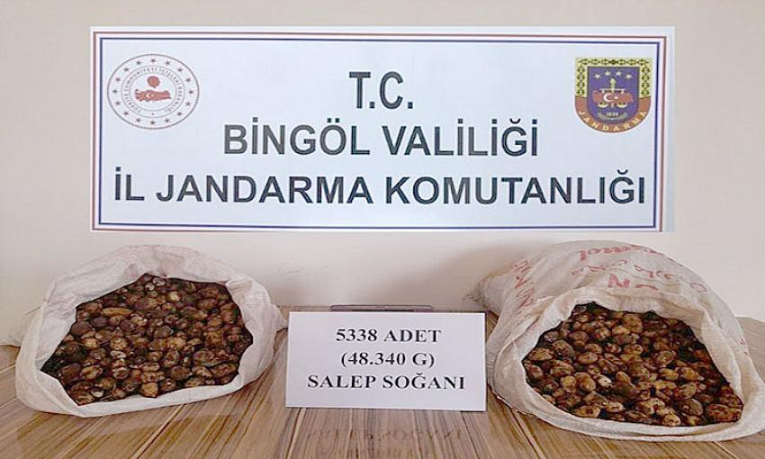 SALEP SOĞANI TOPLAMANIN CEZASI 1.2 MİLYON LİRA OLDU