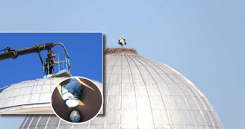YIKILACAK CAMİ KUBBESİNDE BULUNAN LEYLEK YUVASI KALDIRILDI