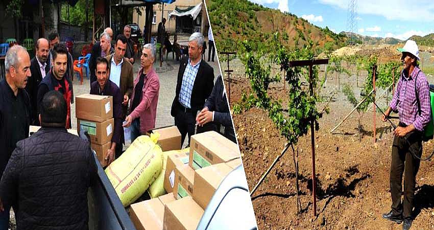 SERVİ ÜZÜMÜNÜN KORUNMASI İÇİN ÇİFTÇİLERE DESTEK