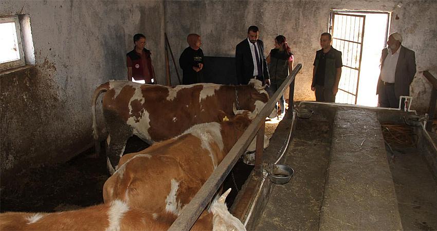 BAHADIR’DAN BESİCİLERE ZİYARET