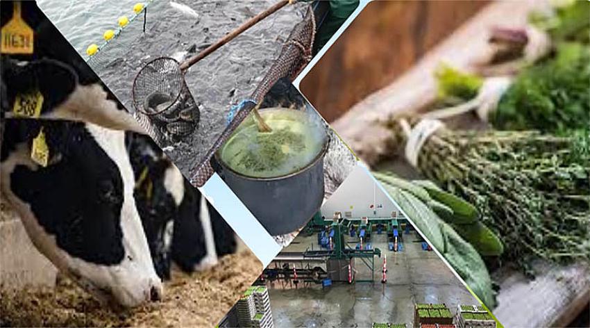 'UZMAN ELLER PROJESİ' KAPSAMINDA 300 MİLYON TL HİBE DESTEĞİ SAĞLANACAK