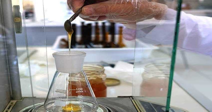  BAL YARIŞMASI YAPILACAK