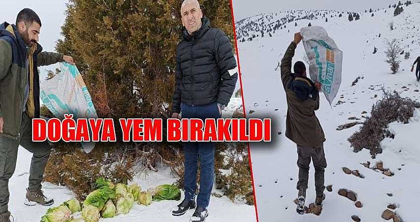 YABAN HAYVANLARI İÇİN DOĞAYA YEM BIRAKILDI